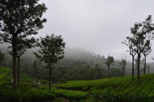 Tamil Nadu Online Gaming Act 2022: What It Means