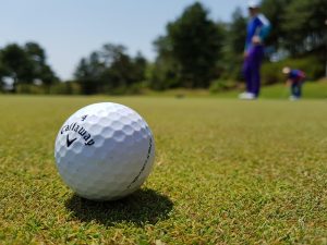 Which Fairplay Club Review Review 2027: Bonus, App, Withdrawal Tested